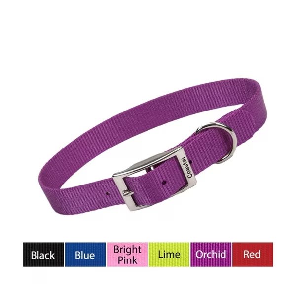 Coastal Single-Ply Nylon Dog Collar 1” BLACK 20